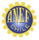  informacin de la Anef !